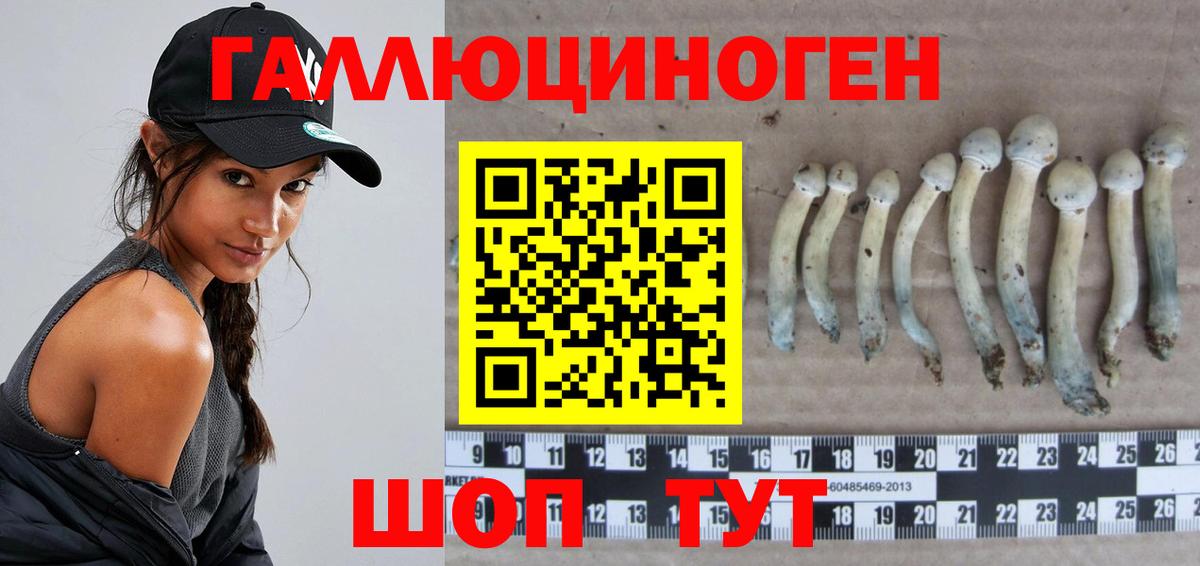Галлюциногенные грибы MAGIC MUSHROOMS Первоуральск